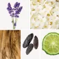 Preview: Duftnoten: Lavendel, Jasmin, Sandelholz, Coumarin, Bergamotte Preview: Duftnoten: Lavendel, Jasmin, Sandelholz, Coumarin, Bergamotte